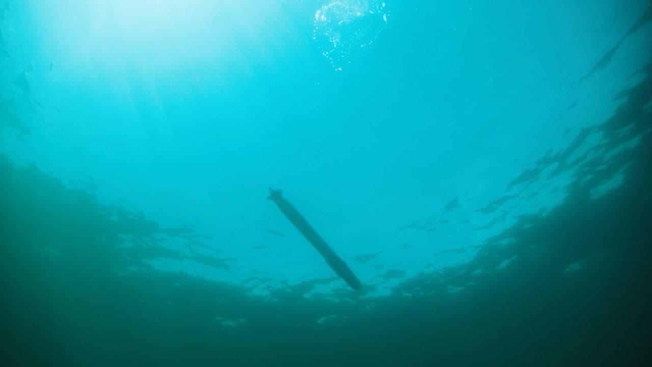 الremus REMUS UUVs (Unmanned Underwater Vehicles) - HII